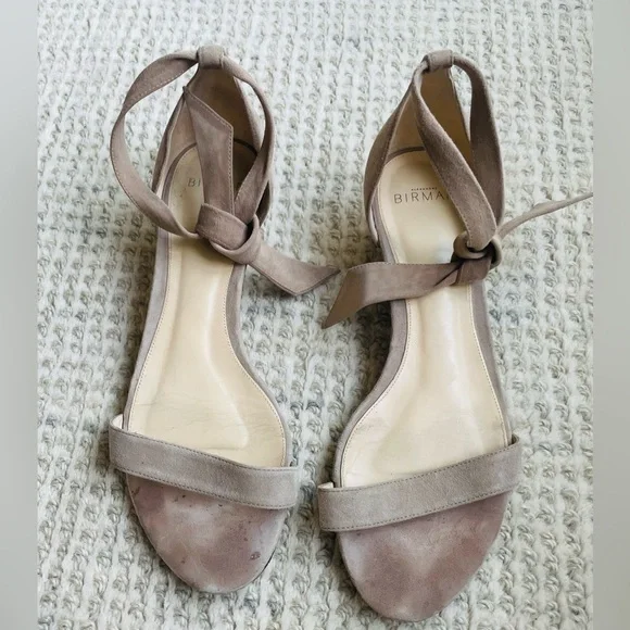 Alexandre Birman Clarita Suede Ankle Tie Sandals, Tan - Picture 6 of 9